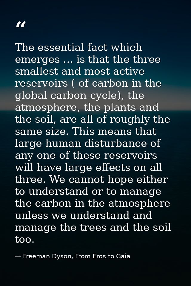 The essential fact which emerges ... is that the three smallest and most active reservoirs ( of carbon in the global car — Freeman Dyson, From Eros to Gaia