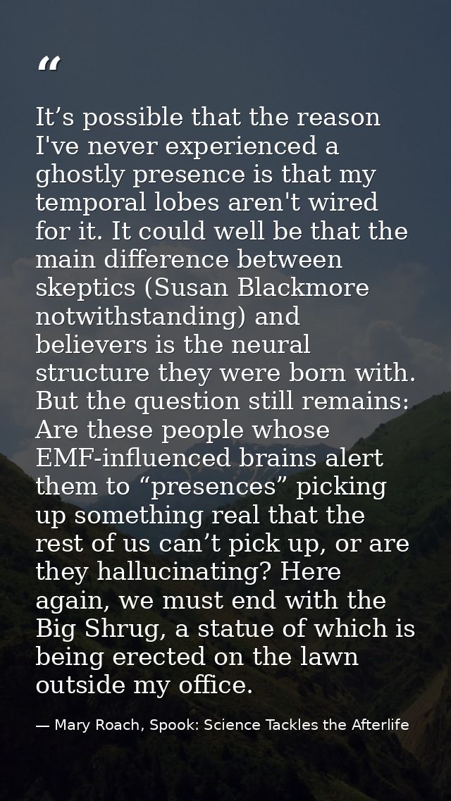 It’s possible that the reason I've never experienced a ghostly presence is that my temporal lobes aren't wired for it. I — Mary Roach, Spook: Science Tackles the Afterlife