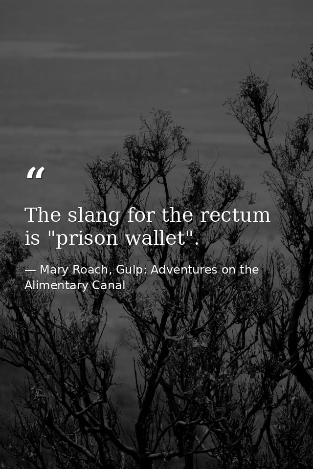 The slang for the rectum is "prison wallet". — Mary Roach, Gulp: Adventures on the Alimentary Canal