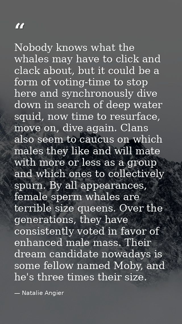Nobody knows what the whales may have to click and clack about, but it could be a form of voting-time to stop here and s — Natalie Angier