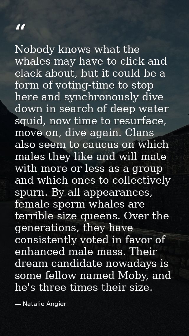 Nobody knows what the whales may have to click and clack about, but it could be a form of voting-time to stop here and s — Natalie Angier