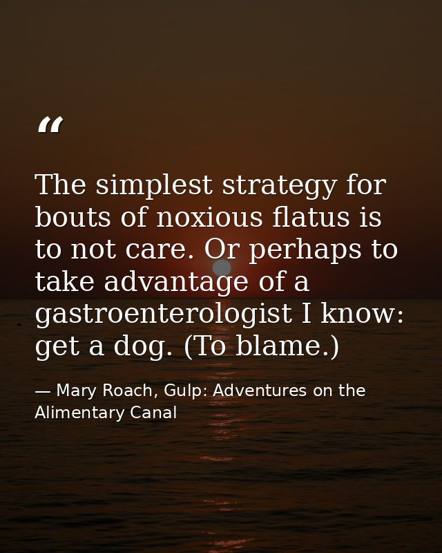 The simplest strategy for bouts of noxious flatus is to not care. Or perhaps to take advantage of a gastroenterologist I — Mary Roach, Gulp: Adventures on the Alimentary Canal