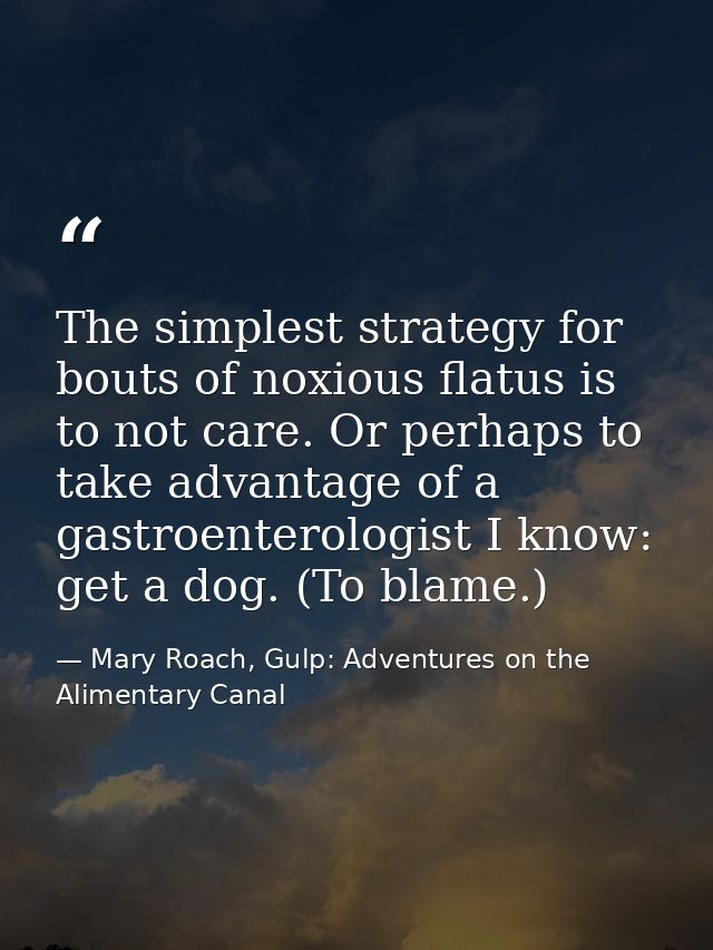 The simplest strategy for bouts of noxious flatus is to not care. Or perhaps to take advantage of a gastroenterologist I — Mary Roach, Gulp: Adventures on the Alimentary Canal