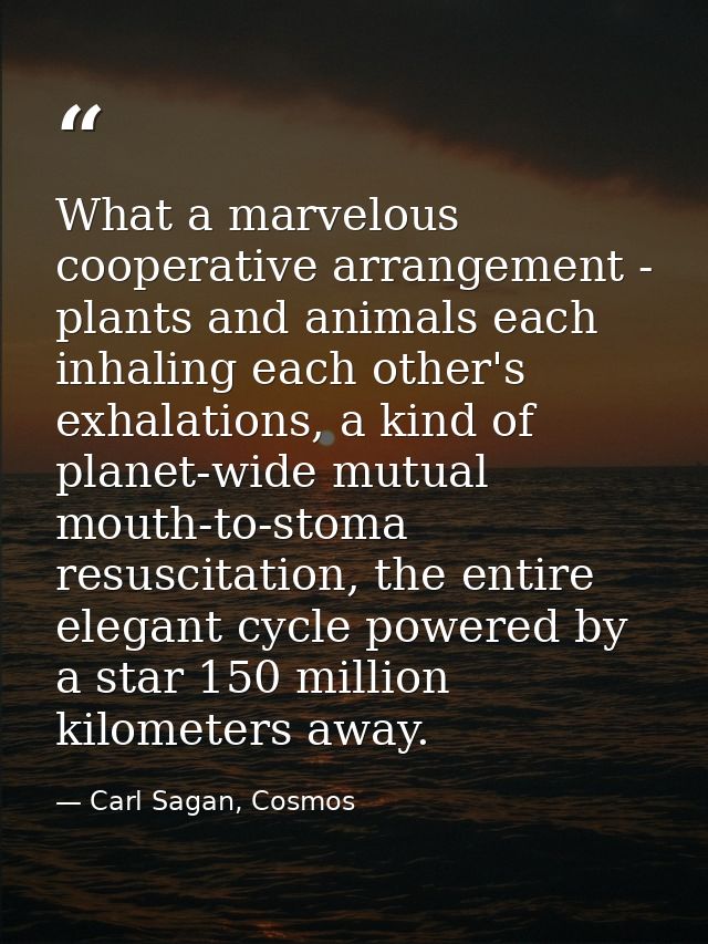 What a marvelous cooperative arrangement - plants and animals each inhaling each other's exhalations, a kind of planet-w — Carl Sagan, Cosmos