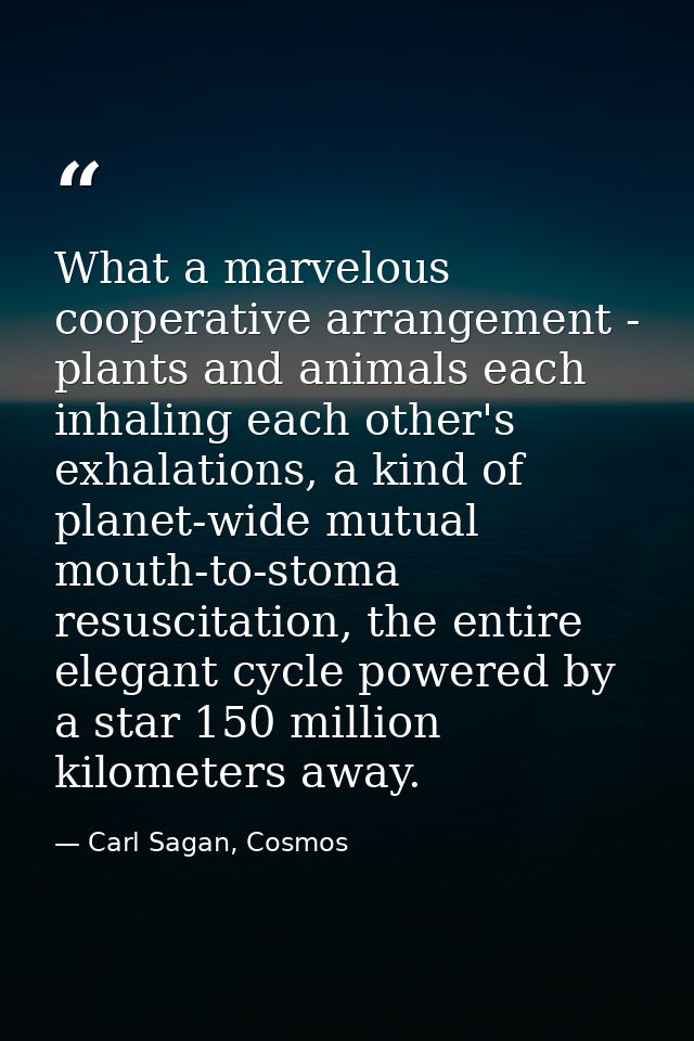 What a marvelous cooperative arrangement - plants and animals each inhaling each other's exhalations, a kind of planet-w — Carl Sagan, Cosmos
