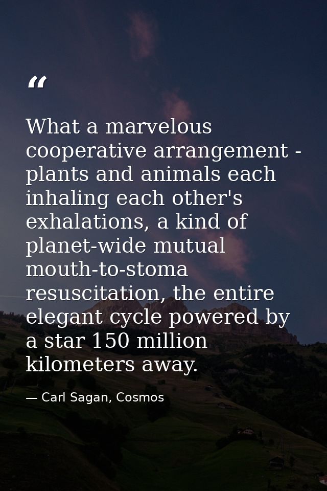 What a marvelous cooperative arrangement - plants and animals each inhaling each other's exhalations, a kind of planet-w — Carl Sagan, Cosmos