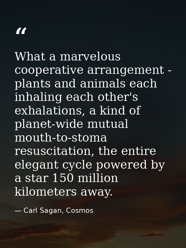 What a marvelous cooperative arrangement - plants and animals each inhaling each other's exhalations, a kind of planet-w — Carl Sagan, Cosmos