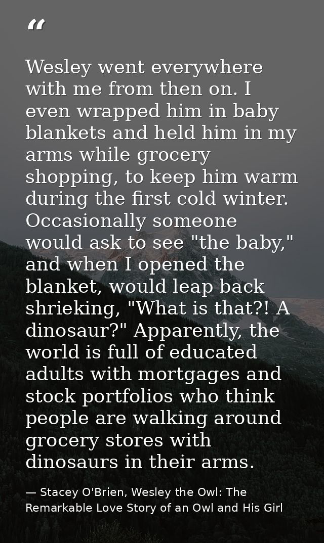 Wesley went everywhere with me from then on. I even wrapped him in baby blankets and held him in my arms while grocery s — Stacey O'Brien, Wesley the Owl: The Remarkable Love Story of an Owl and His Girl