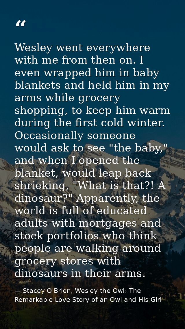 Wesley went everywhere with me from then on. I even wrapped him in baby blankets and held him in my arms while grocery s — Stacey O'Brien, Wesley the Owl: The Remarkable Love Story of an Owl and His Girl