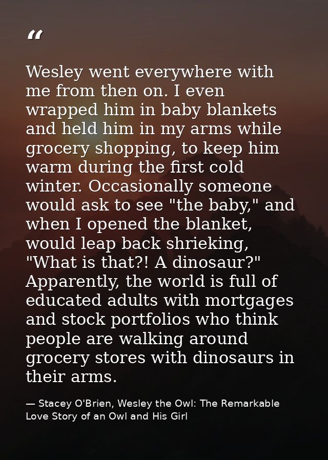Wesley went everywhere with me from then on. I even wrapped him in baby blankets and held him in my arms while grocery s — Stacey O'Brien, Wesley the Owl: The Remarkable Love Story of an Owl and His Girl
