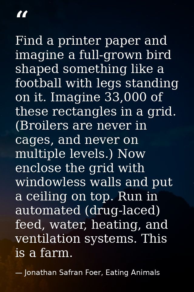 Find a printer paper and imagine a full-grown bird shaped something like a football with legs standing on it. Imagine 33 — Jonathan Safran Foer, Eating Animals