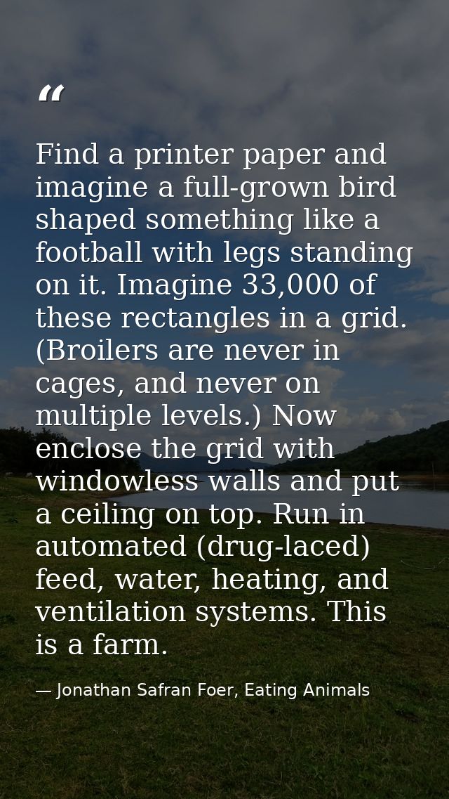 Find a printer paper and imagine a full-grown bird shaped something like a football with legs standing on it. Imagine 33 — Jonathan Safran Foer, Eating Animals