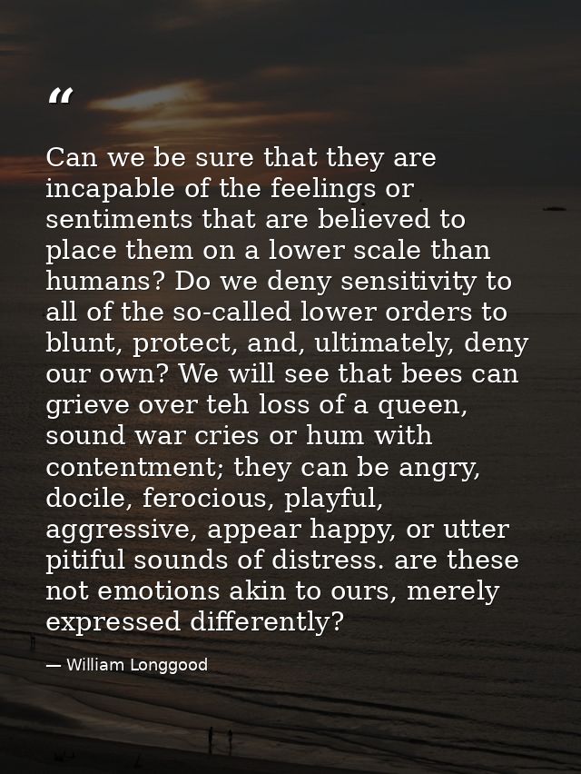 Can we be sure that they are incapable of the feelings or sentiments that are believed to place them on a lower scale th — William Longgood