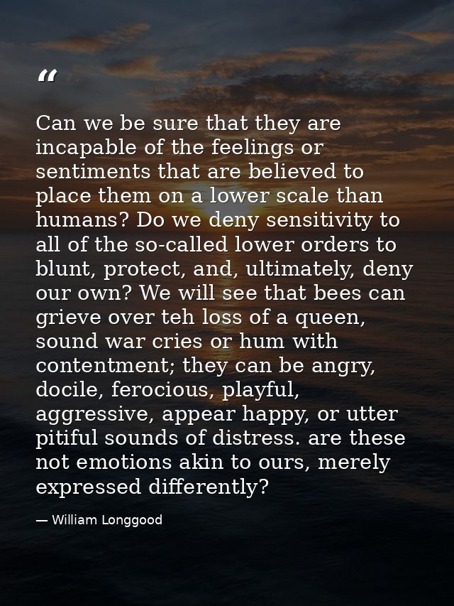 Can we be sure that they are incapable of the feelings or sentiments that are believed to place them on a lower scale th — William Longgood