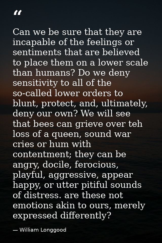 Can we be sure that they are incapable of the feelings or sentiments that are believed to place them on a lower scale th — William Longgood