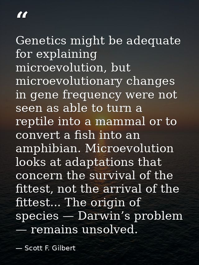 Genetics might be adequate for explaining microevolution, but microevolutionary changes in gene frequency were not seen  — Scott F. Gilbert