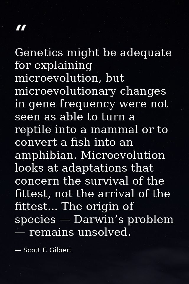 Genetics might be adequate for explaining microevolution, but microevolutionary changes in gene frequency were not seen  — Scott F. Gilbert