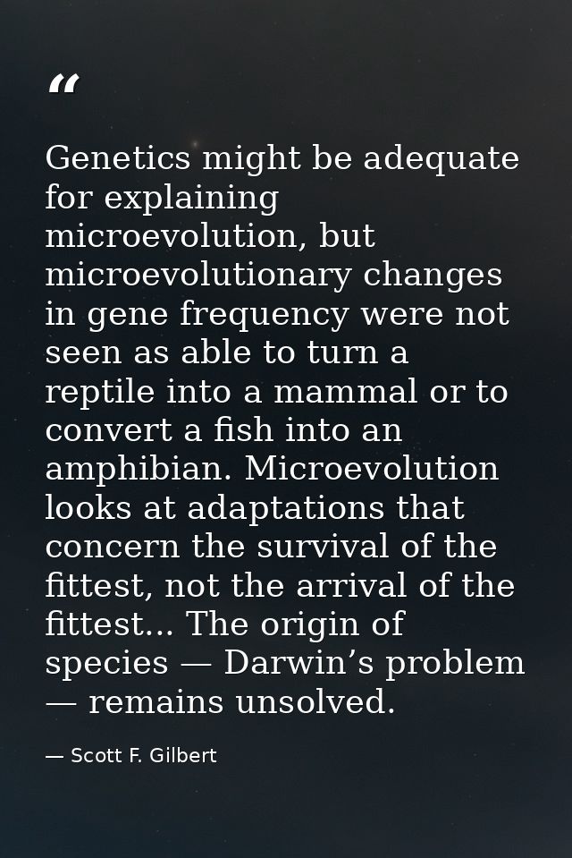Genetics might be adequate for explaining microevolution, but microevolutionary changes in gene frequency were not seen  — Scott F. Gilbert