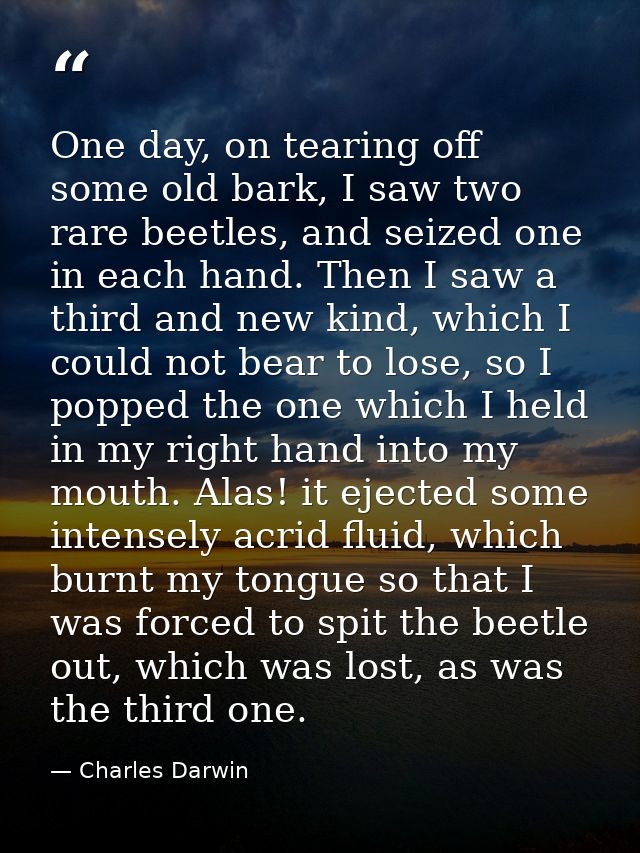 One day, on tearing off some old bark, I saw two rare beetles, and seized one in each hand. Then I saw a third and new k — Charles Darwin
