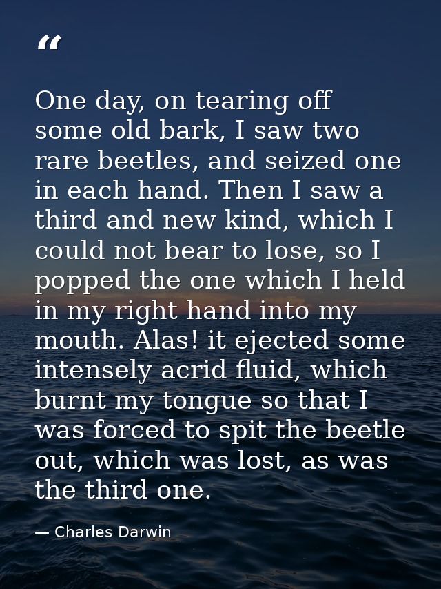 One day, on tearing off some old bark, I saw two rare beetles, and seized one in each hand. Then I saw a third and new k — Charles Darwin