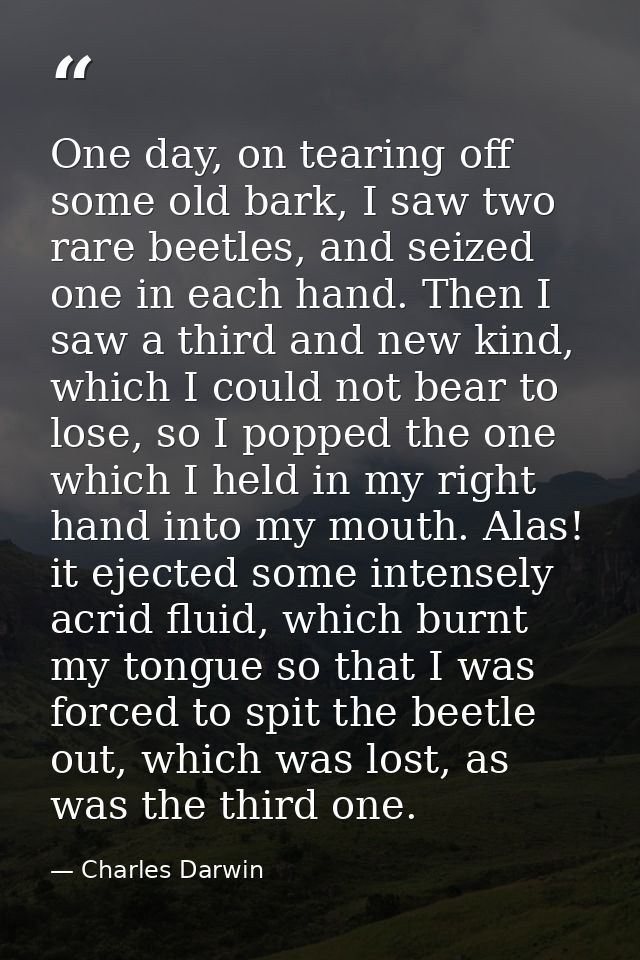 One day, on tearing off some old bark, I saw two rare beetles, and seized one in each hand. Then I saw a third and new k — Charles Darwin