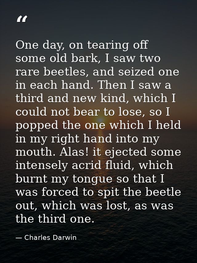 One day, on tearing off some old bark, I saw two rare beetles, and seized one in each hand. Then I saw a third and new k — Charles Darwin