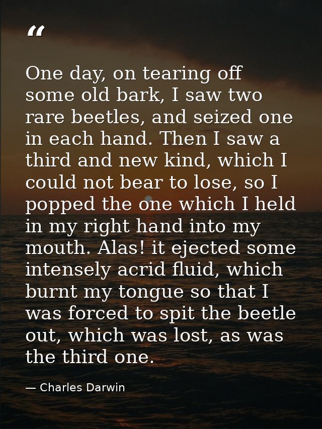 One day, on tearing off some old bark, I saw two rare beetles, and seized one in each hand. Then I saw a third and new k — Charles Darwin
