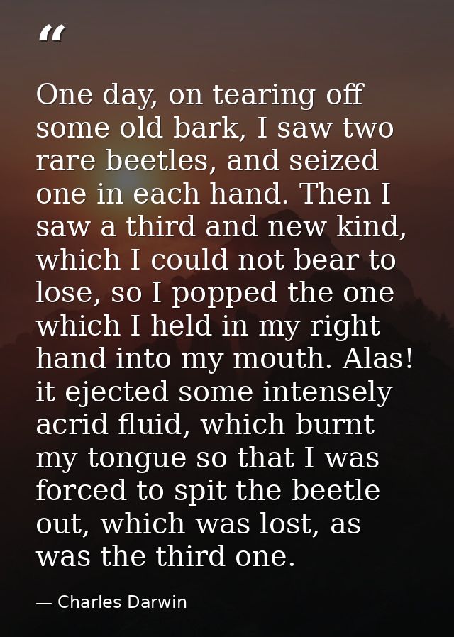 One day, on tearing off some old bark, I saw two rare beetles, and seized one in each hand. Then I saw a third and new k — Charles Darwin