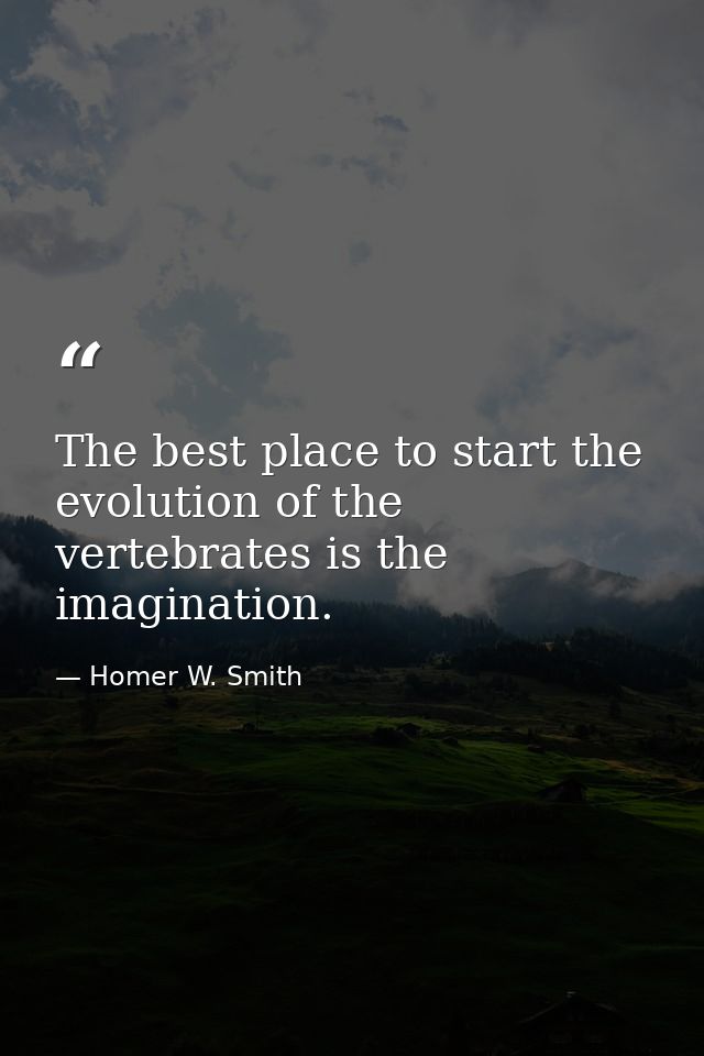 The best place to start the evolution of the vertebrates is the imagination. — Homer W. Smith