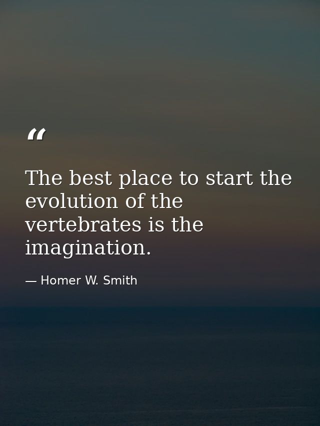 The best place to start the evolution of the vertebrates is the imagination. — Homer W. Smith