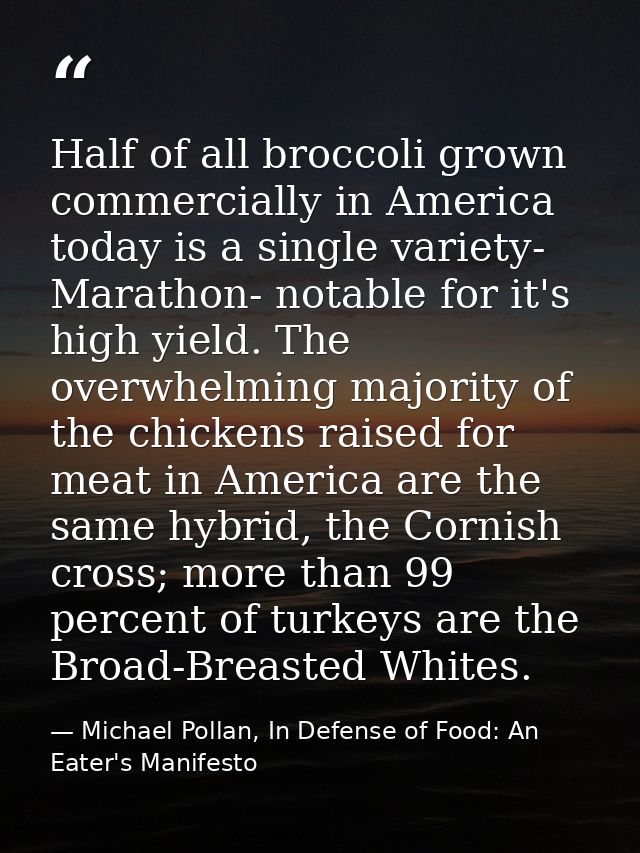 Half of all broccoli grown commercially in America today is a single variety- Marathon- notable for it's high yield. The — Michael Pollan, In Defense of Food: An Eater's Manifesto