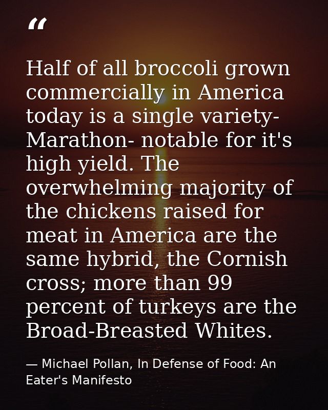 Half of all broccoli grown commercially in America today is a single variety- Marathon- notable for it's high yield. The — Michael Pollan, In Defense of Food: An Eater's Manifesto