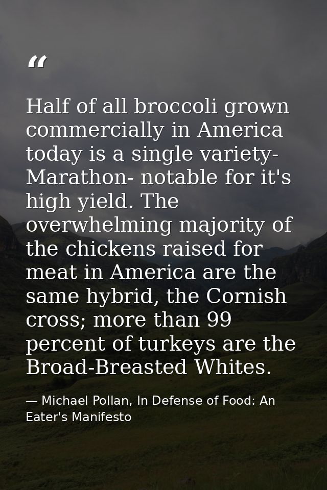 Half of all broccoli grown commercially in America today is a single variety- Marathon- notable for it's high yield. The — Michael Pollan, In Defense of Food: An Eater's Manifesto
