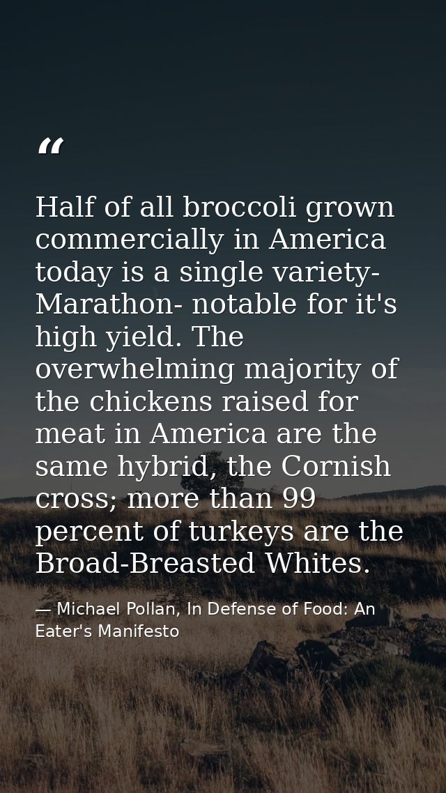 Half of all broccoli grown commercially in America today is a single variety- Marathon- notable for it's high yield. The — Michael Pollan, In Defense of Food: An Eater's Manifesto