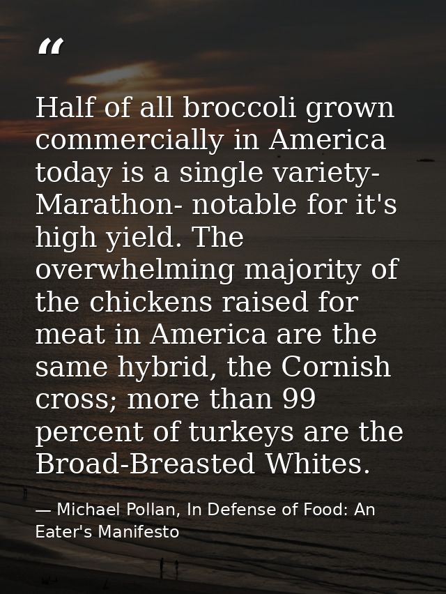 Half of all broccoli grown commercially in America today is a single variety- Marathon- notable for it's high yield. The — Michael Pollan, In Defense of Food: An Eater's Manifesto