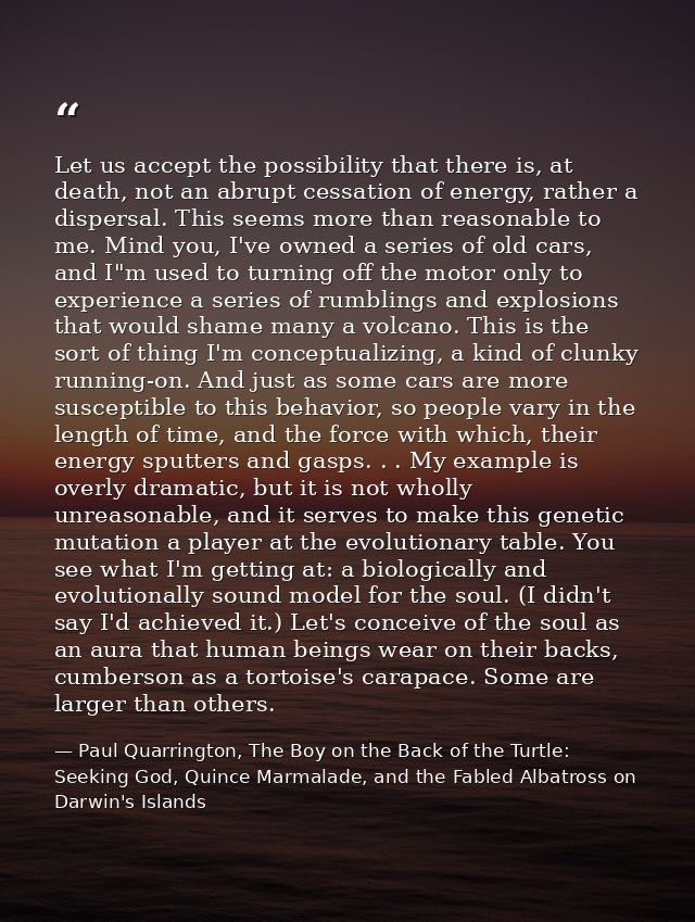 Let us accept the possibility that there is, at death, not an abrupt cessation of energy, rather a dispersal. This seems — Paul Quarrington, The Boy on the Back of the Turtle: Seeking God, Quince Marmalade, and the Fabled Albatross on Darwin's Islands