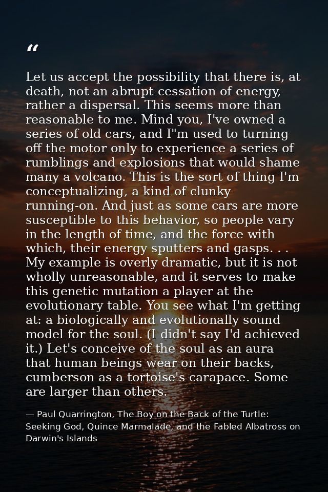 Let us accept the possibility that there is, at death, not an abrupt cessation of energy, rather a dispersal. This seems — Paul Quarrington, The Boy on the Back of the Turtle: Seeking God, Quince Marmalade, and the Fabled Albatross on Darwin's Islands