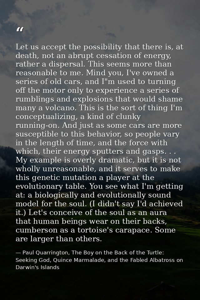 Let us accept the possibility that there is, at death, not an abrupt cessation of energy, rather a dispersal. This seems — Paul Quarrington, The Boy on the Back of the Turtle: Seeking God, Quince Marmalade, and the Fabled Albatross on Darwin's Islands