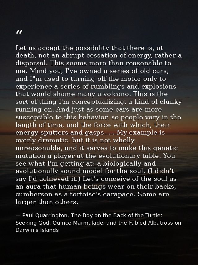 Let us accept the possibility that there is, at death, not an abrupt cessation of energy, rather a dispersal. This seems — Paul Quarrington, The Boy on the Back of the Turtle: Seeking God, Quince Marmalade, and the Fabled Albatross on Darwin's Islands