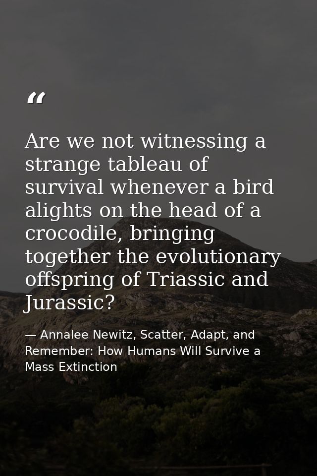 Are we not witnessing a strange tableau of survival whenever a bird alights on the head of a crocodile, bringing togethe — Annalee Newitz, Scatter, Adapt, and Remember: How Humans Will Survive a Mass Extinction