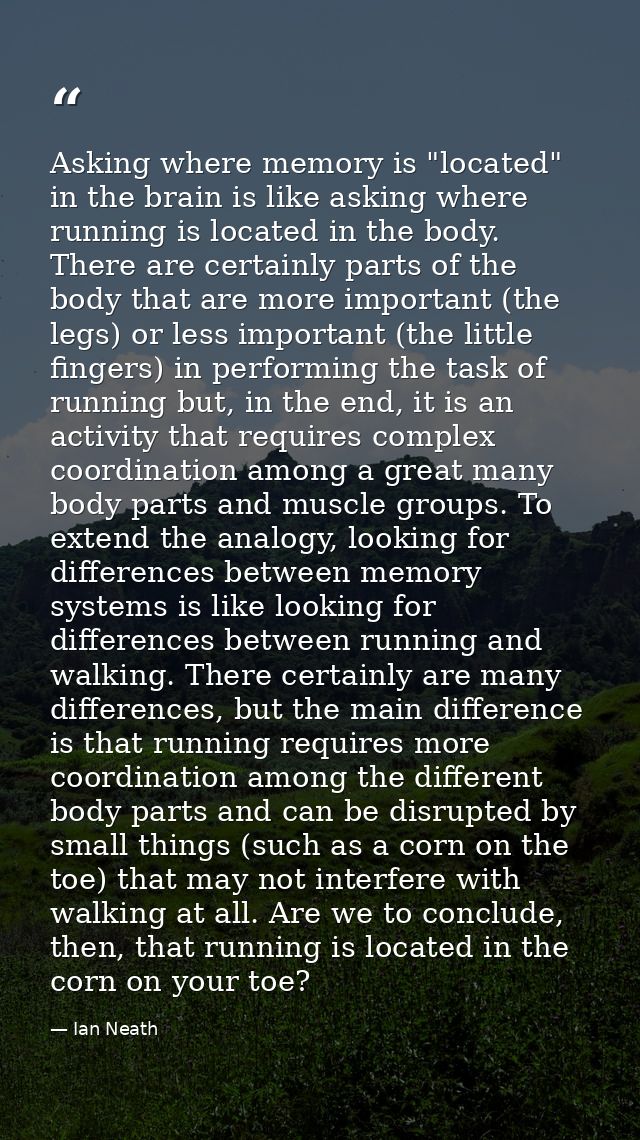 Asking where memory is "located" in the brain is like asking where running is located in the body. There are certainly p — Ian Neath