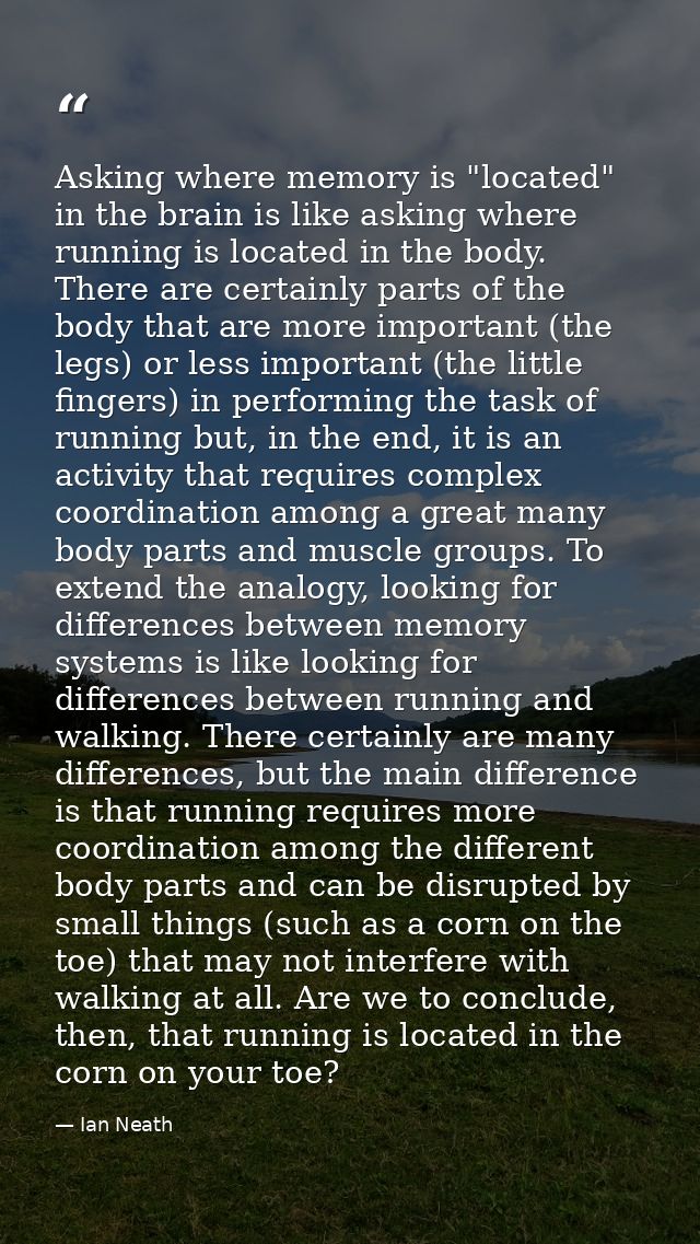 Asking where memory is "located" in the brain is like asking where running is located in the body. There are certainly p — Ian Neath