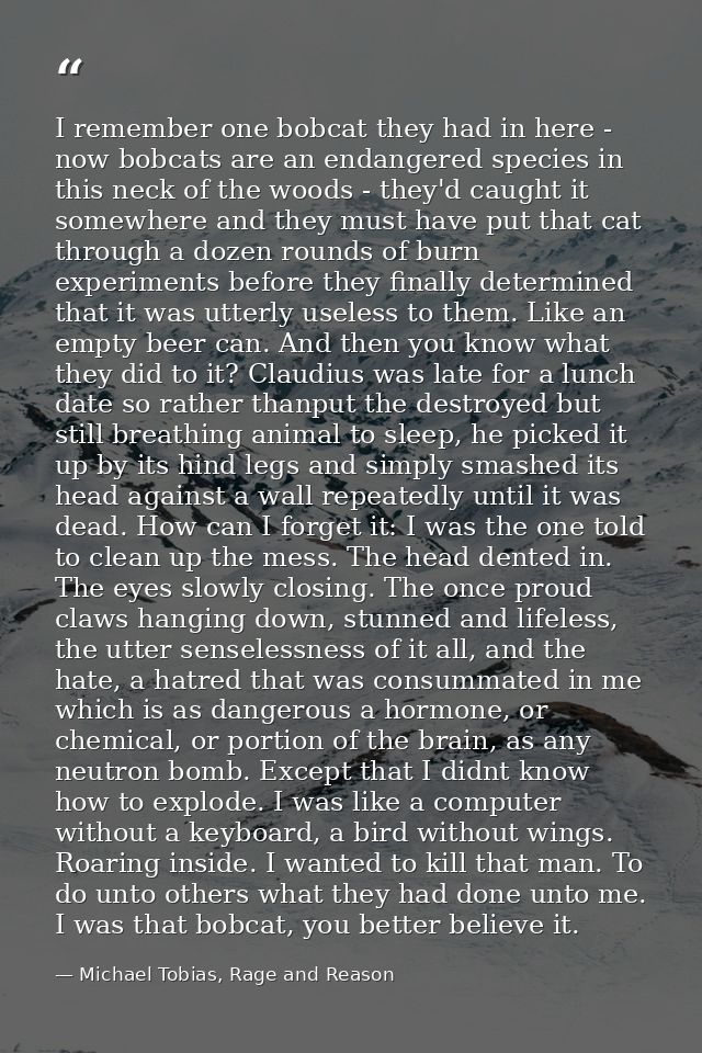 I remember one bobcat they had in here - now bobcats are an endangered species in this neck of the woods - they'd caught — Michael Tobias, Rage and Reason