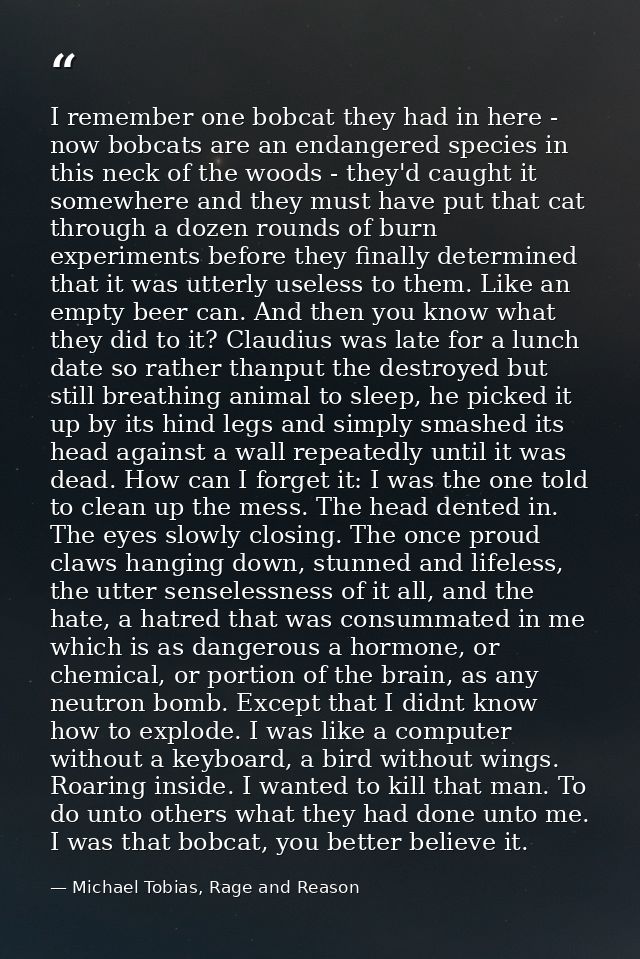 I remember one bobcat they had in here - now bobcats are an endangered species in this neck of the woods - they'd caught — Michael Tobias, Rage and Reason