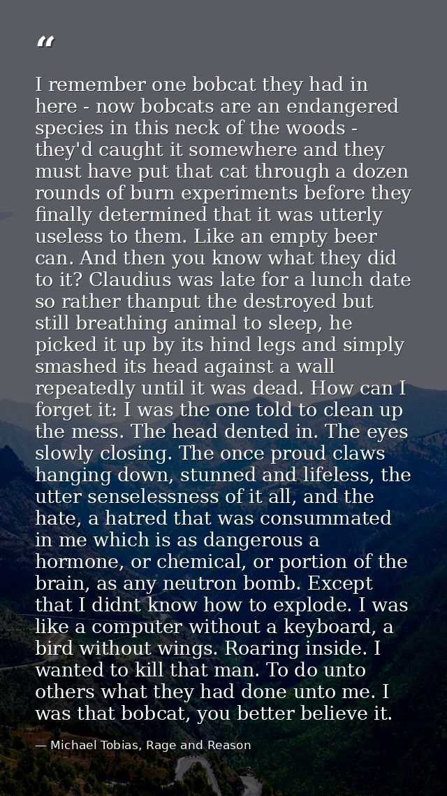 I remember one bobcat they had in here - now bobcats are an endangered species in this neck of the woods - they'd caught — Michael Tobias, Rage and Reason