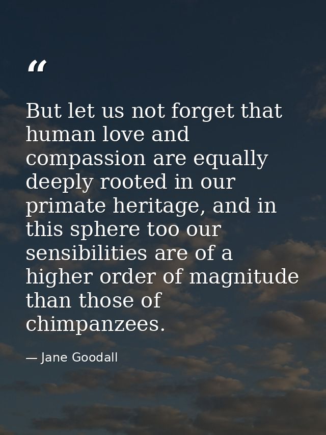 But let us not forget that human love and compassion are equally deeply rooted in our primate heritage, and in this sphe — Jane Goodall