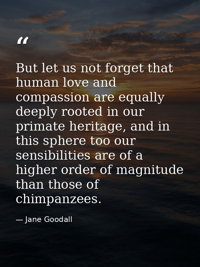 But let us not forget that human love and compassion are equally deeply rooted in our primate heritage, and in this sphe — Jane Goodall
