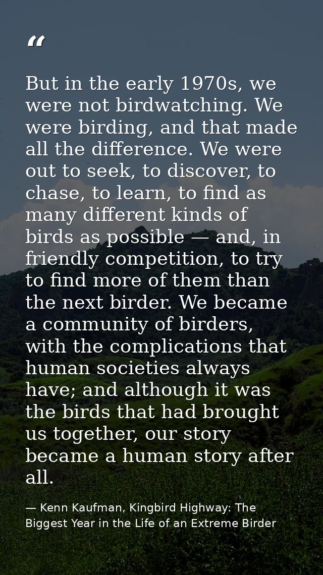 But in the early 1970s, we were not birdwatching. We were birding, and that made all the difference. We were out to seek — Kenn Kaufman, Kingbird Highway: The Biggest Year in the Life of an Extreme Birder