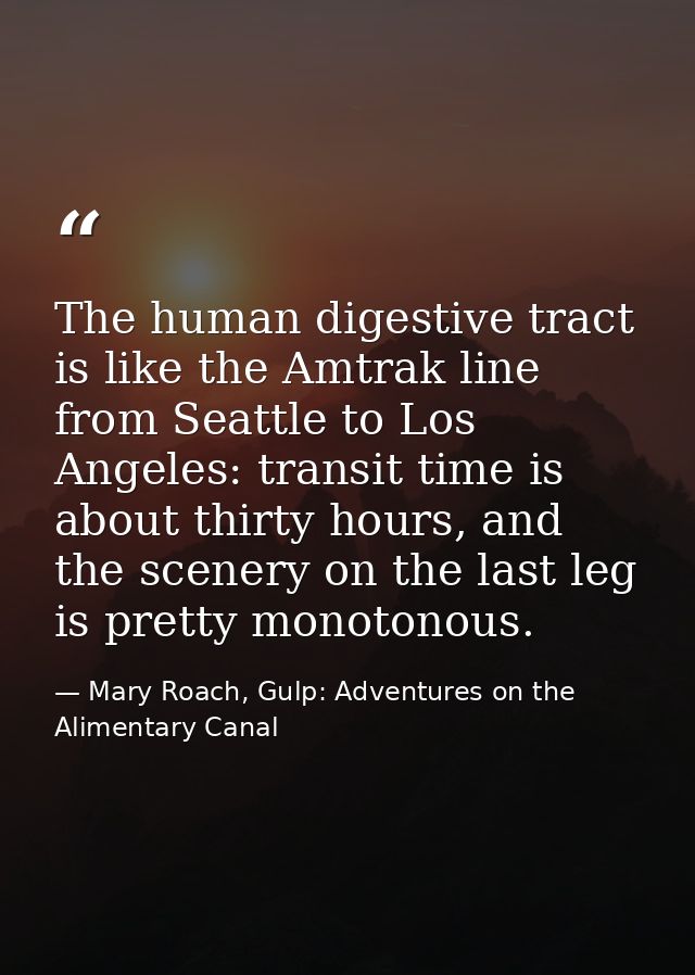 The human digestive tract is like the Amtrak line from Seattle to Los Angeles: transit time is about thirty hours, and t — Mary Roach, Gulp: Adventures on the Alimentary Canal