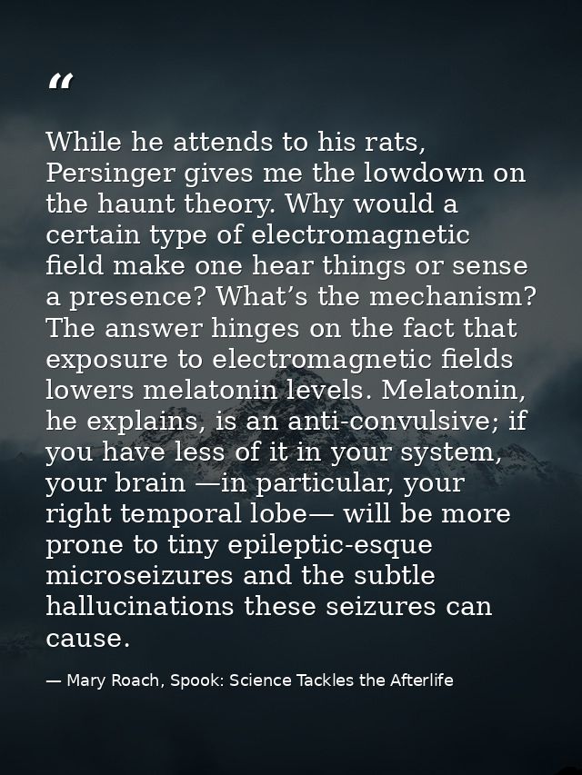 While he attends to his rats, Persinger gives me the lowdown on the haunt theory. Why would a certain type of electromag — Mary Roach, Spook: Science Tackles the Afterlife
